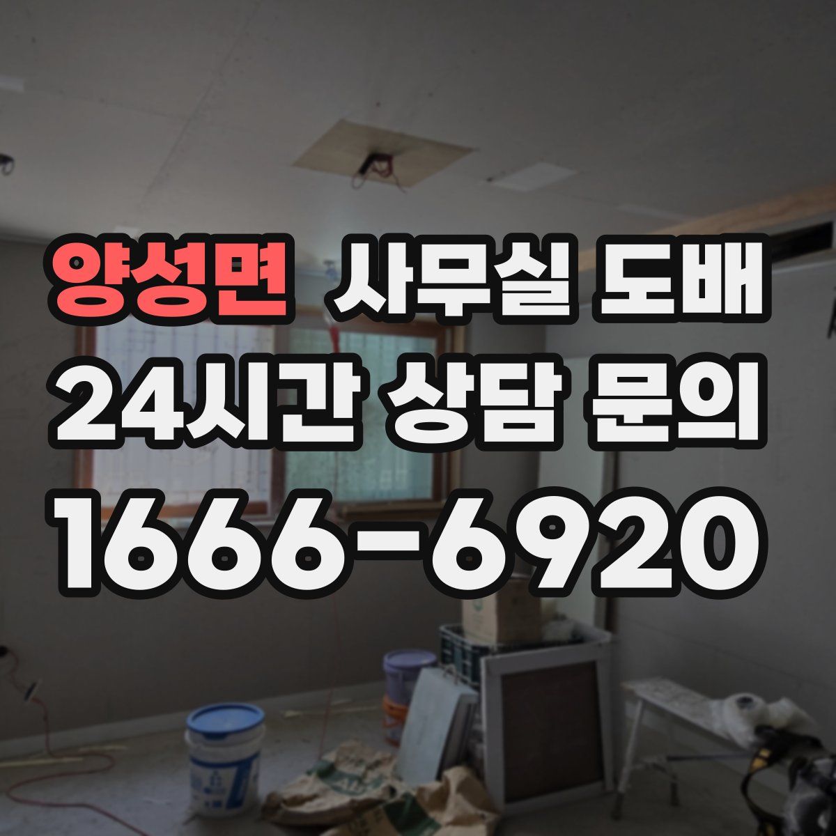 양성면 사무실 도배