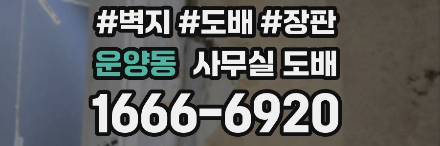 운양동 사무실 도배