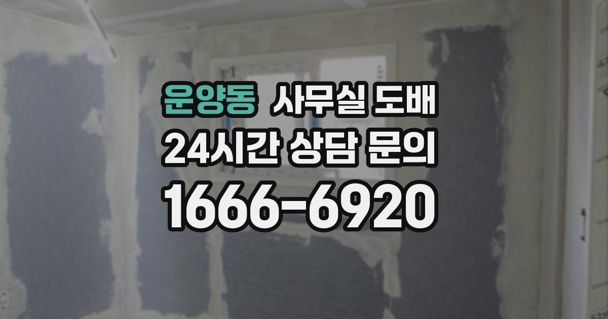 운양동 사무실 도배