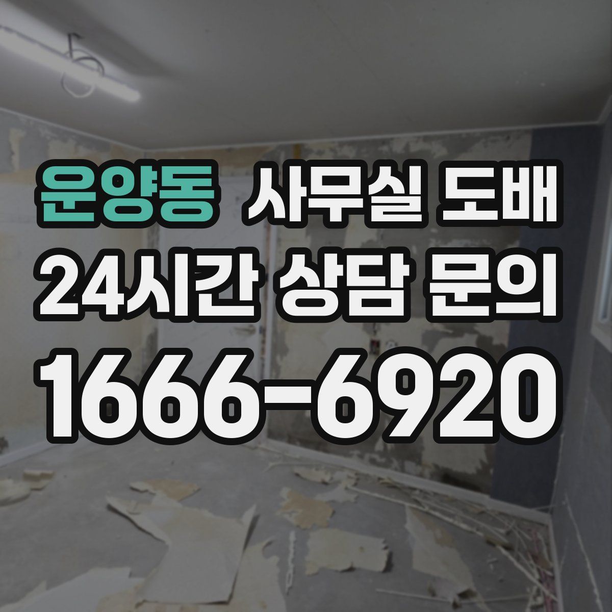 운양동 사무실 도배