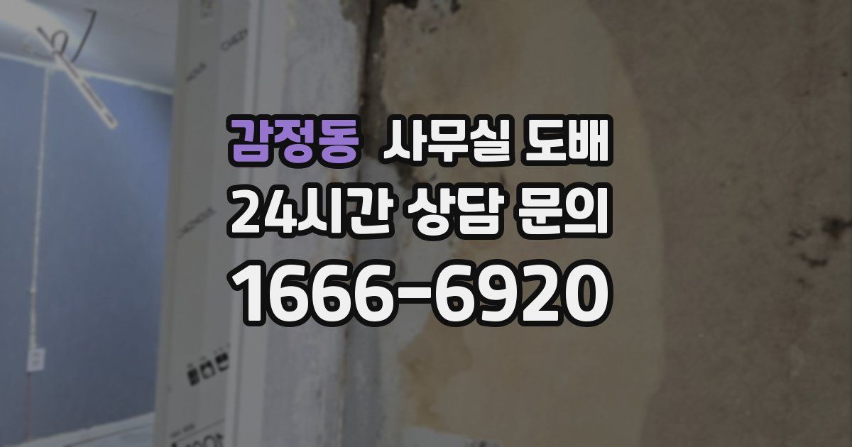 감정동 사무실 도배