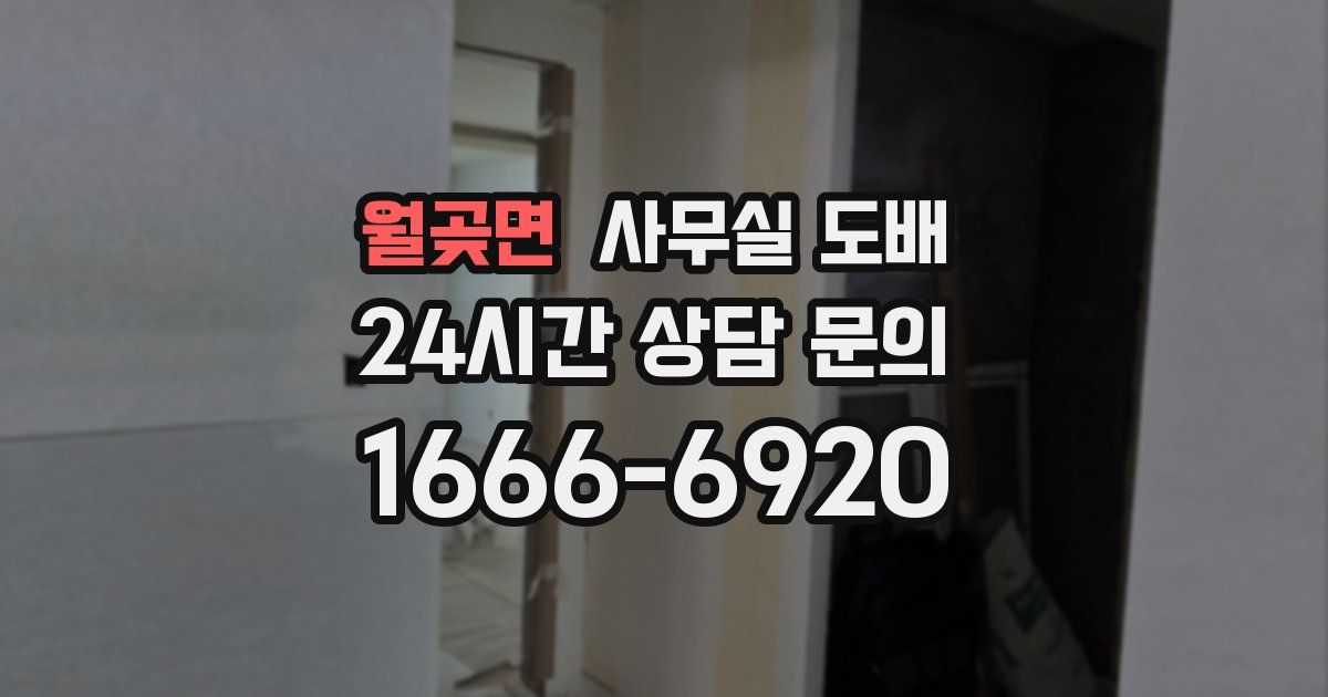 월곶면 사무실 도배
