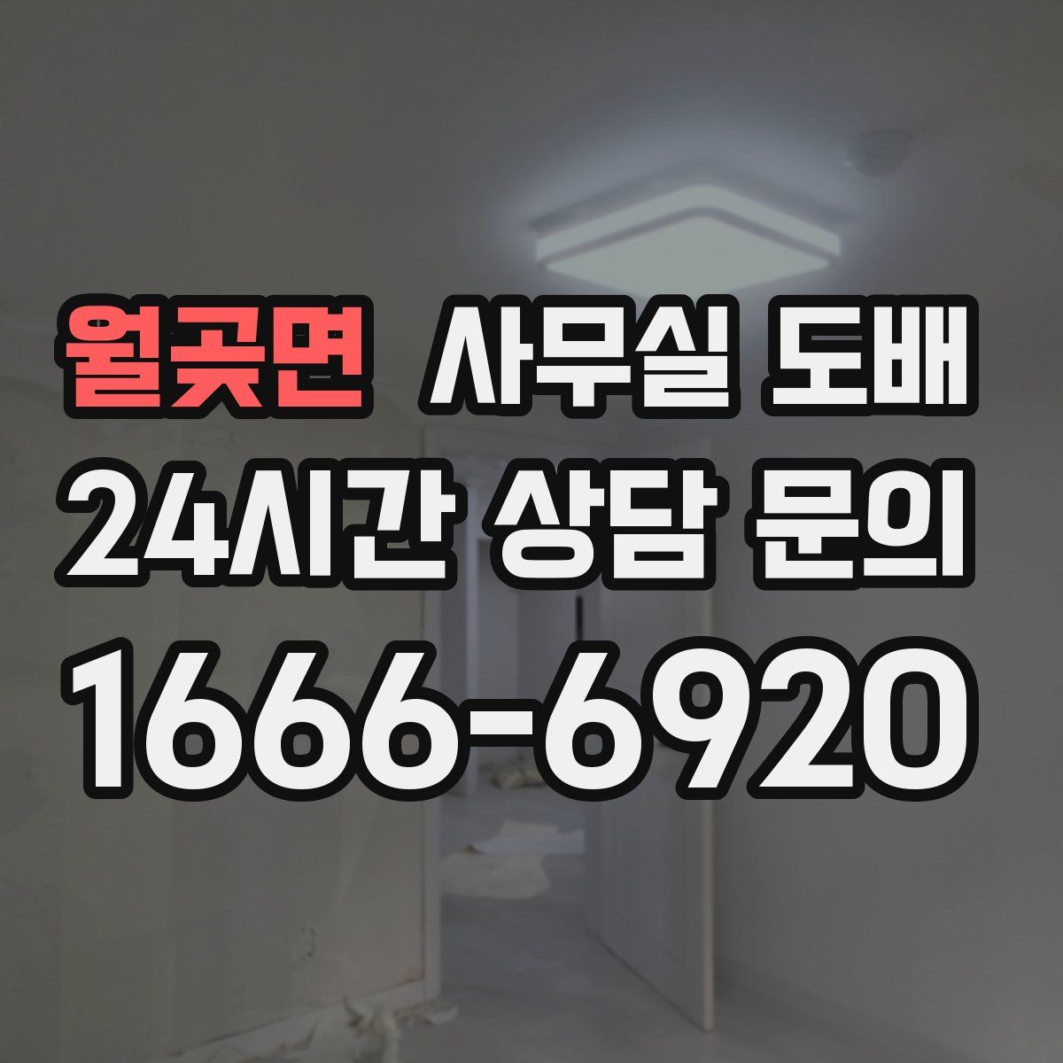 월곶면 사무실 도배