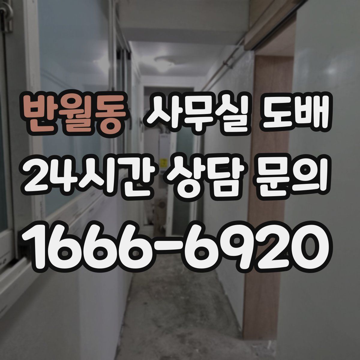 반월동 사무실 도배