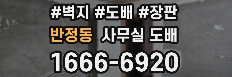 반정동 사무실 도배