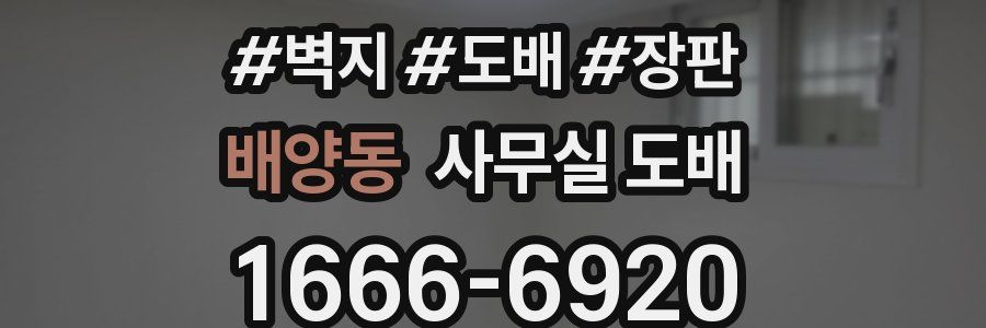 배양동 사무실 도배