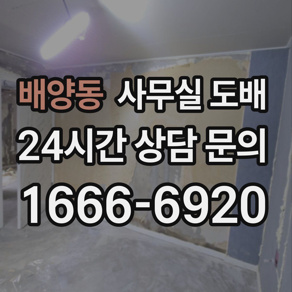 배양동 사무실 도배
