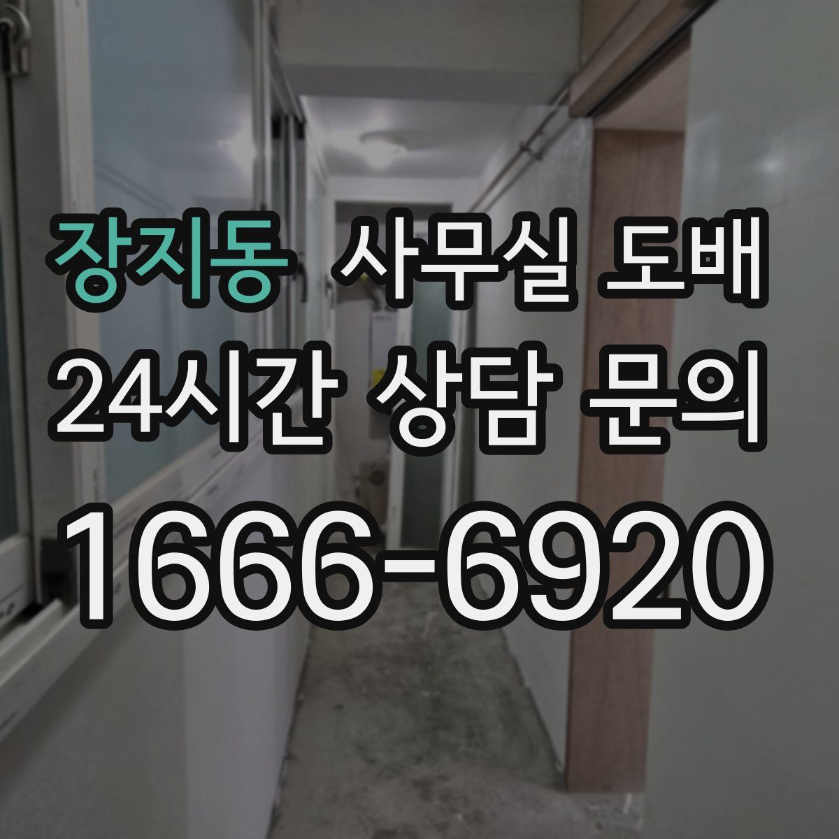 장지동 사무실 도배