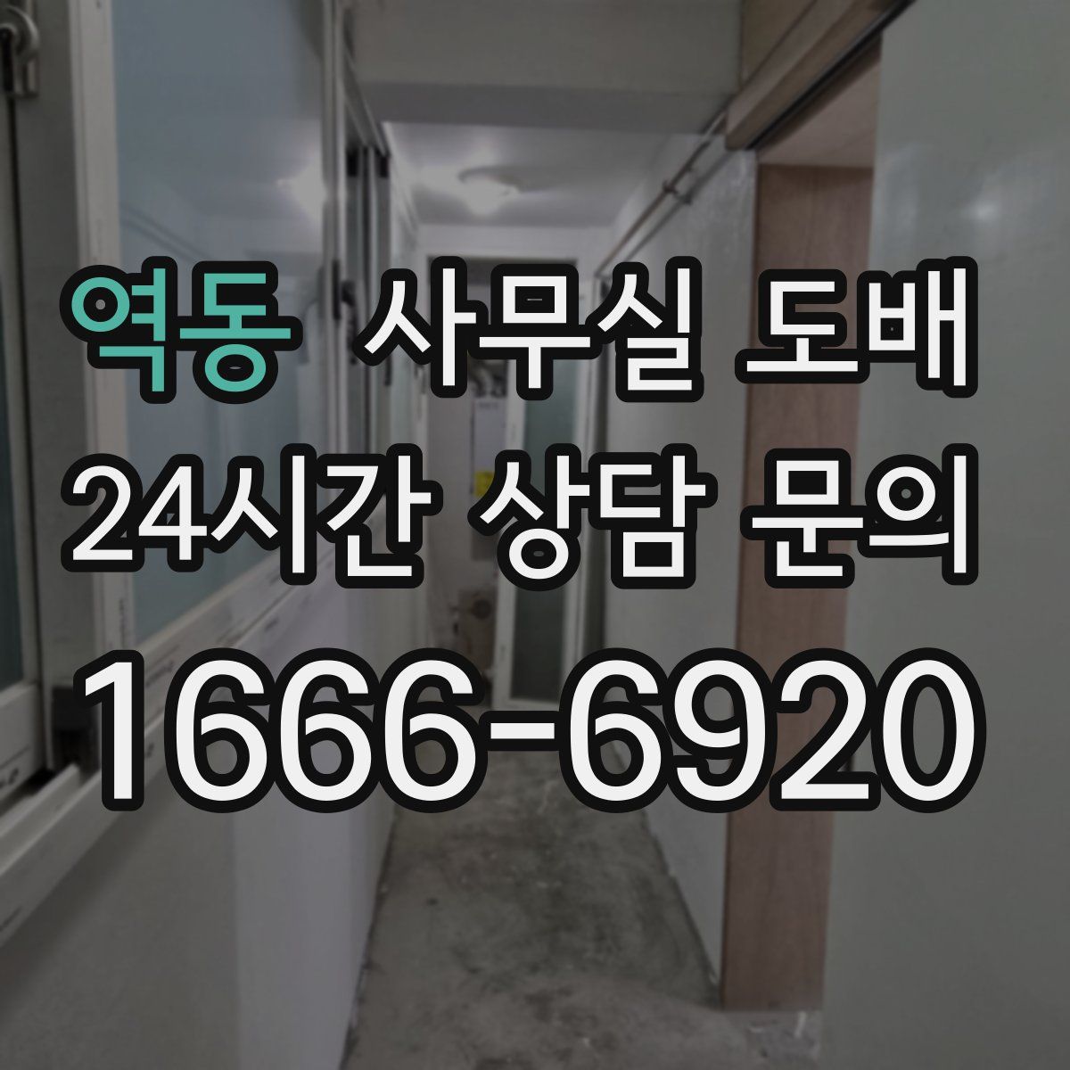 역동 사무실 도배