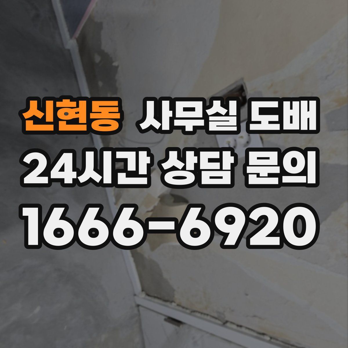 신현동 사무실 도배
