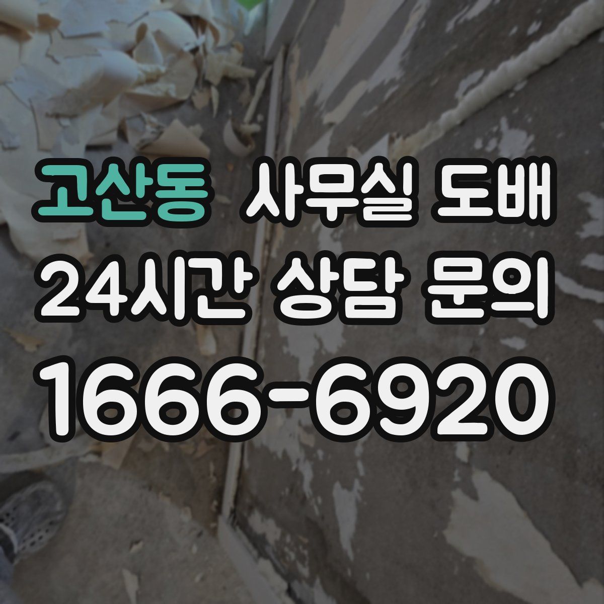 고산동 사무실 도배