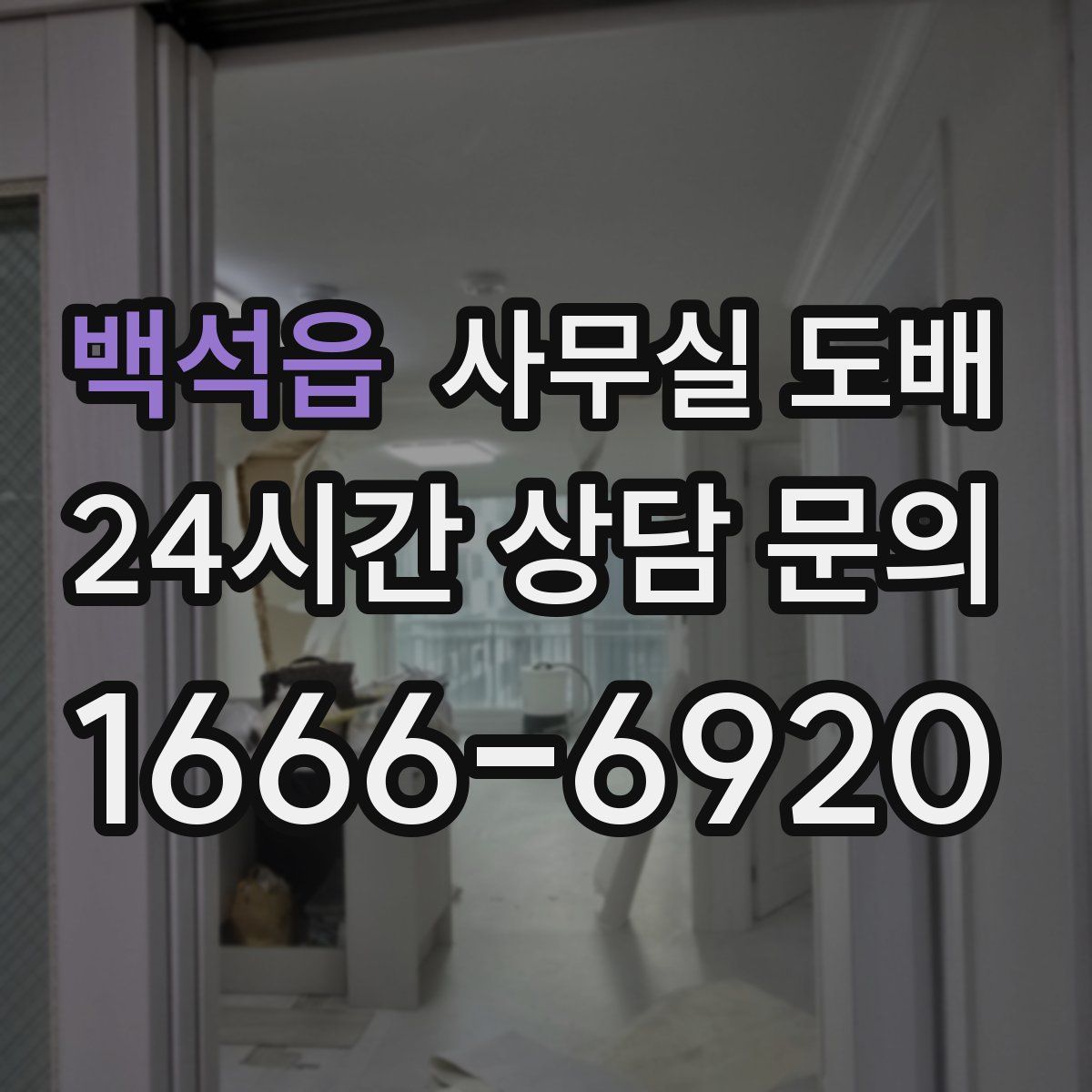 백석읍 사무실 도배