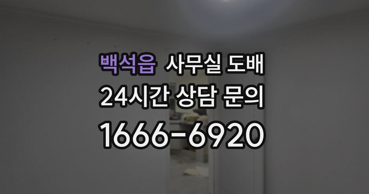 백석읍 사무실 도배