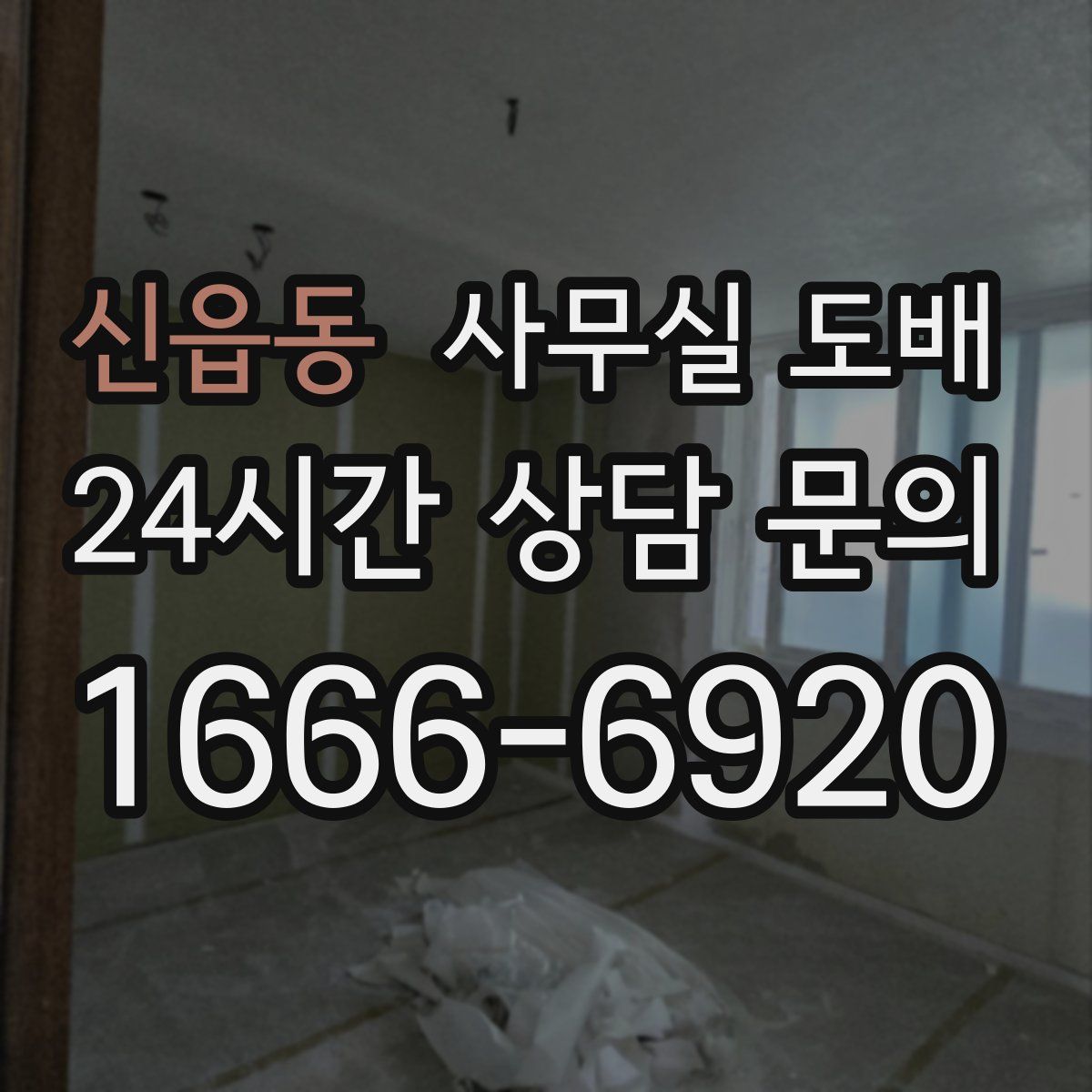 신읍동 사무실 도배