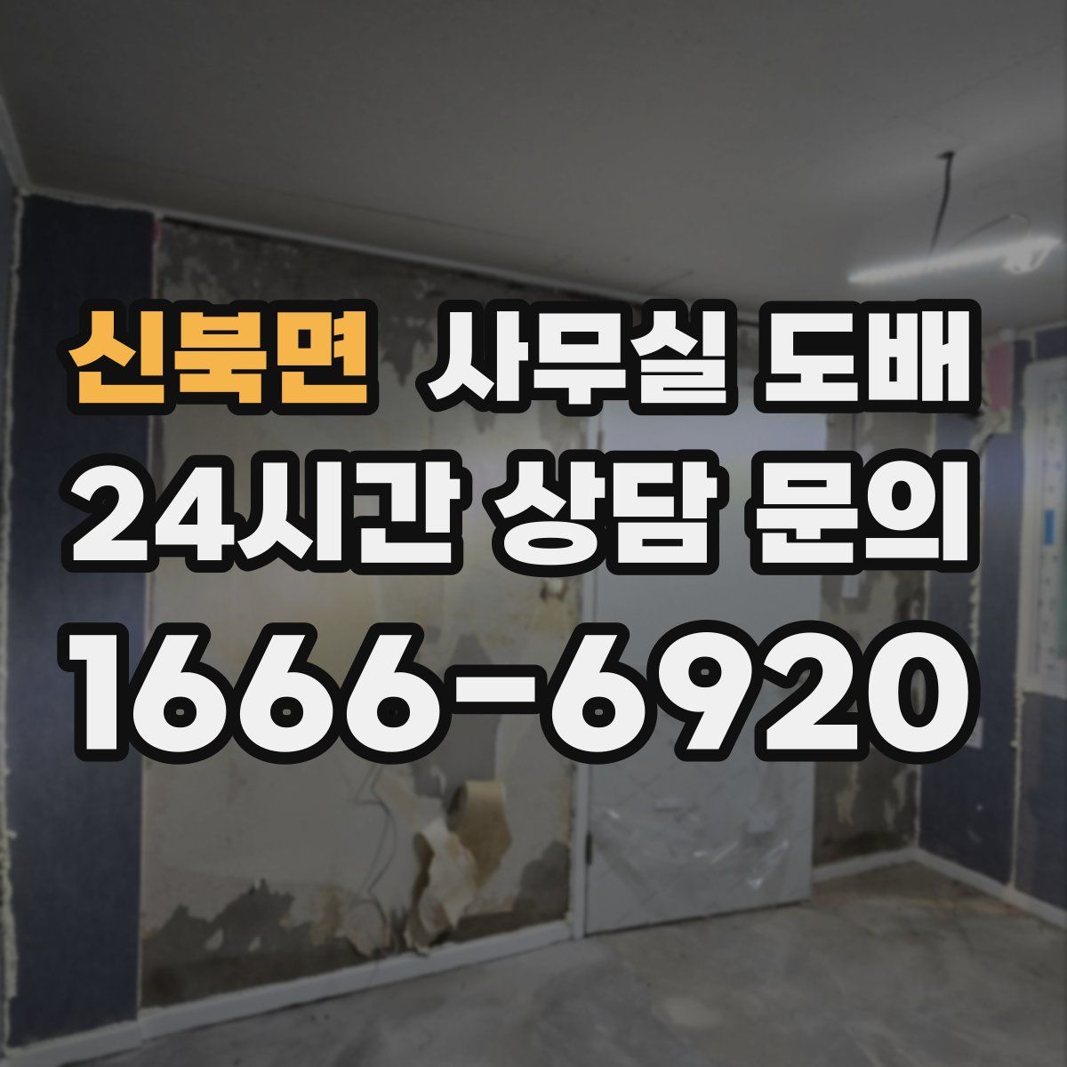 신북면 사무실 도배