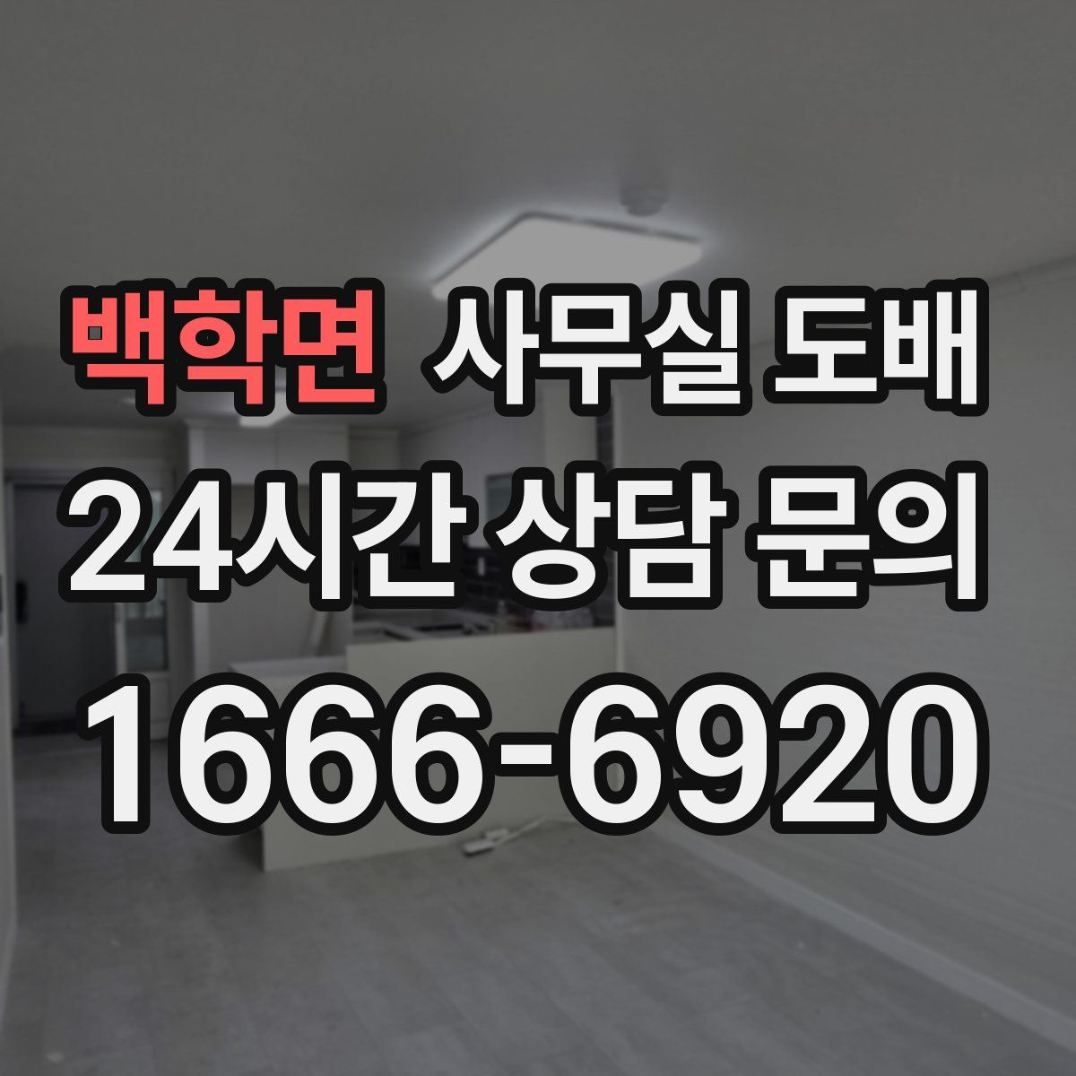 백학면 사무실 도배