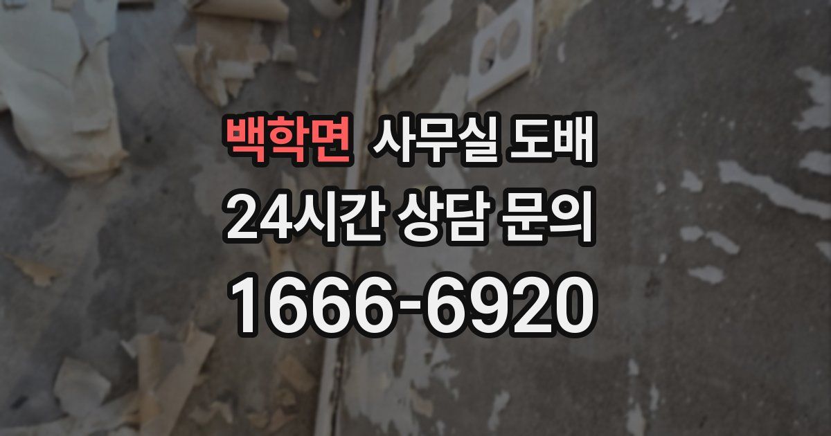 백학면 사무실 도배