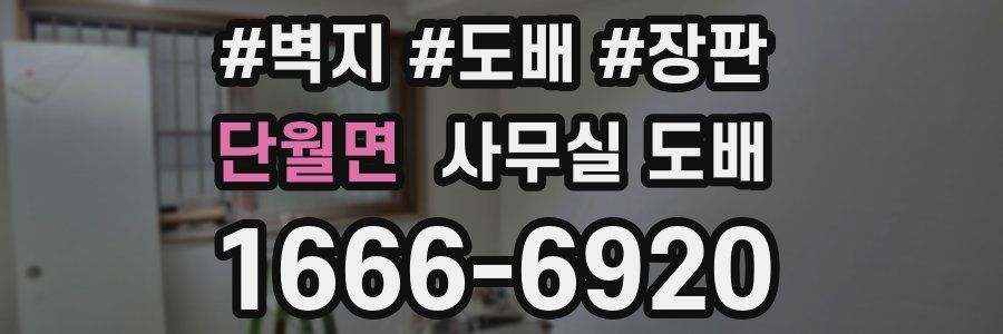 단월면 사무실 도배