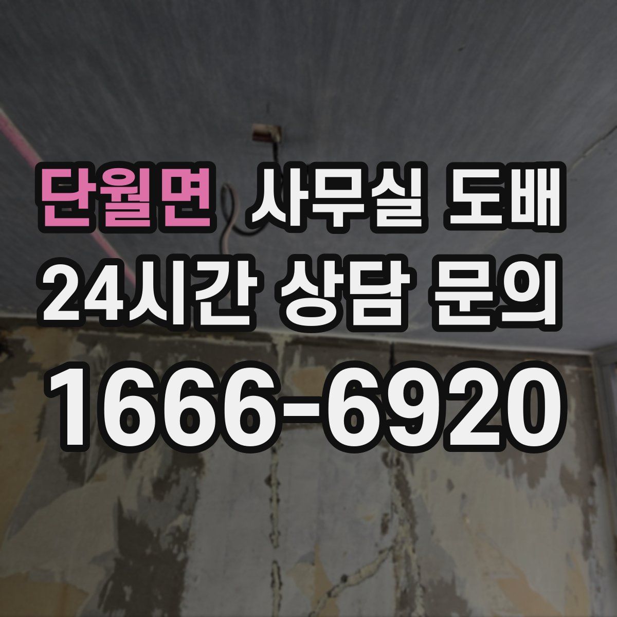 단월면 사무실 도배