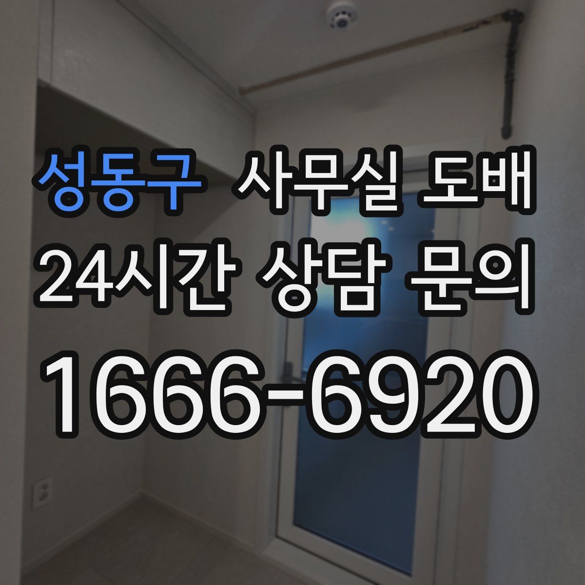 성동구 사무실 도배