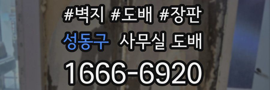 성동구 사무실 도배
