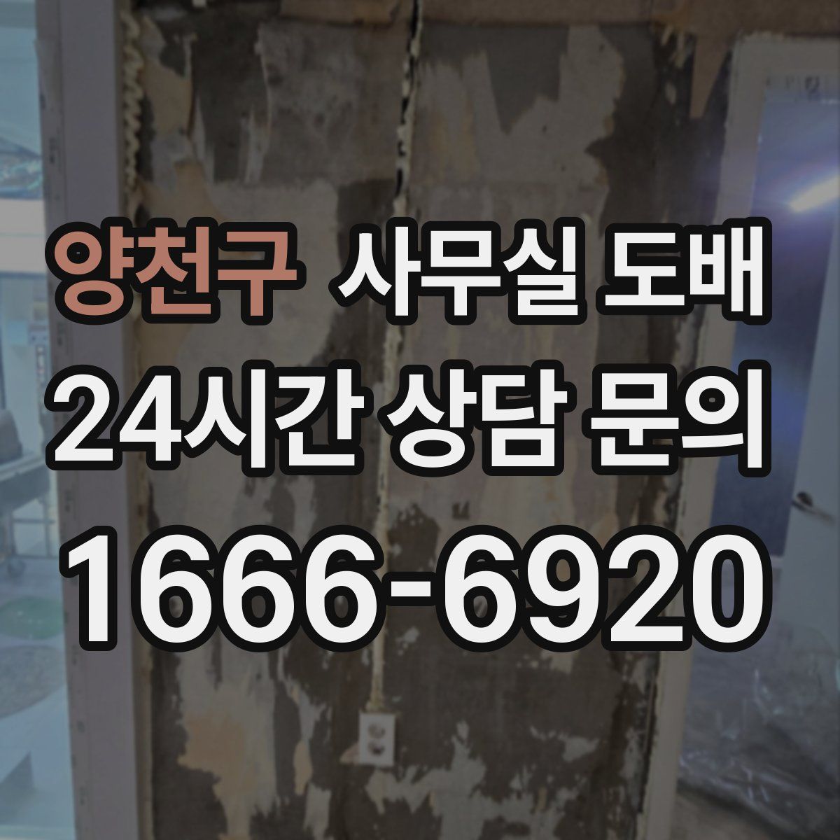 양천구 사무실 도배