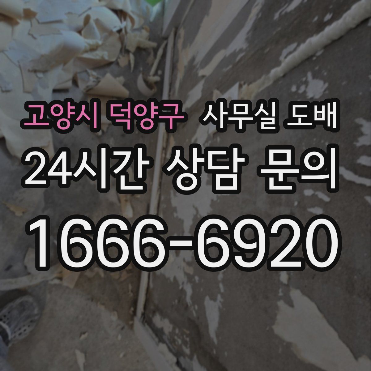 고양시 덕양구 사무실 도배