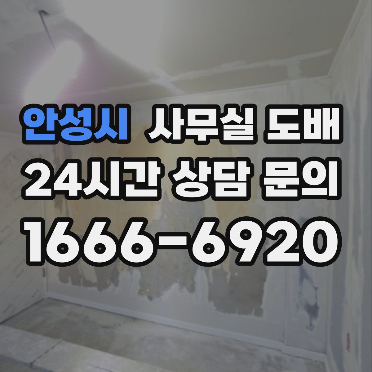 안성시 사무실 도배