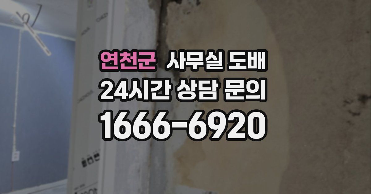 연천군 사무실 도배