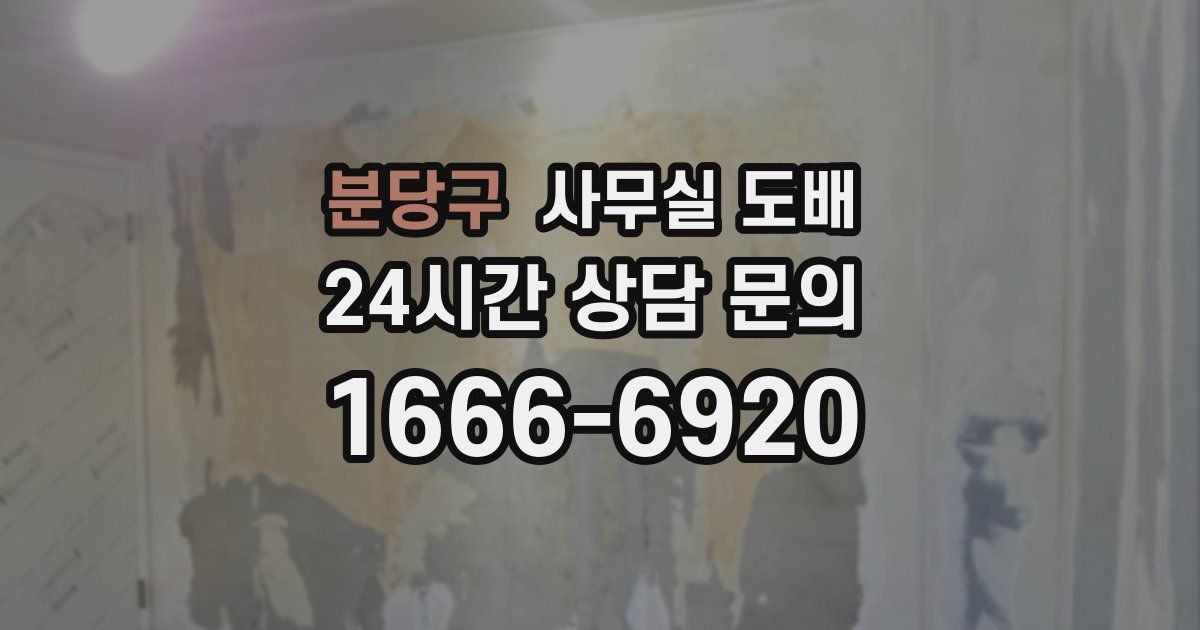 분당구 사무실 도배