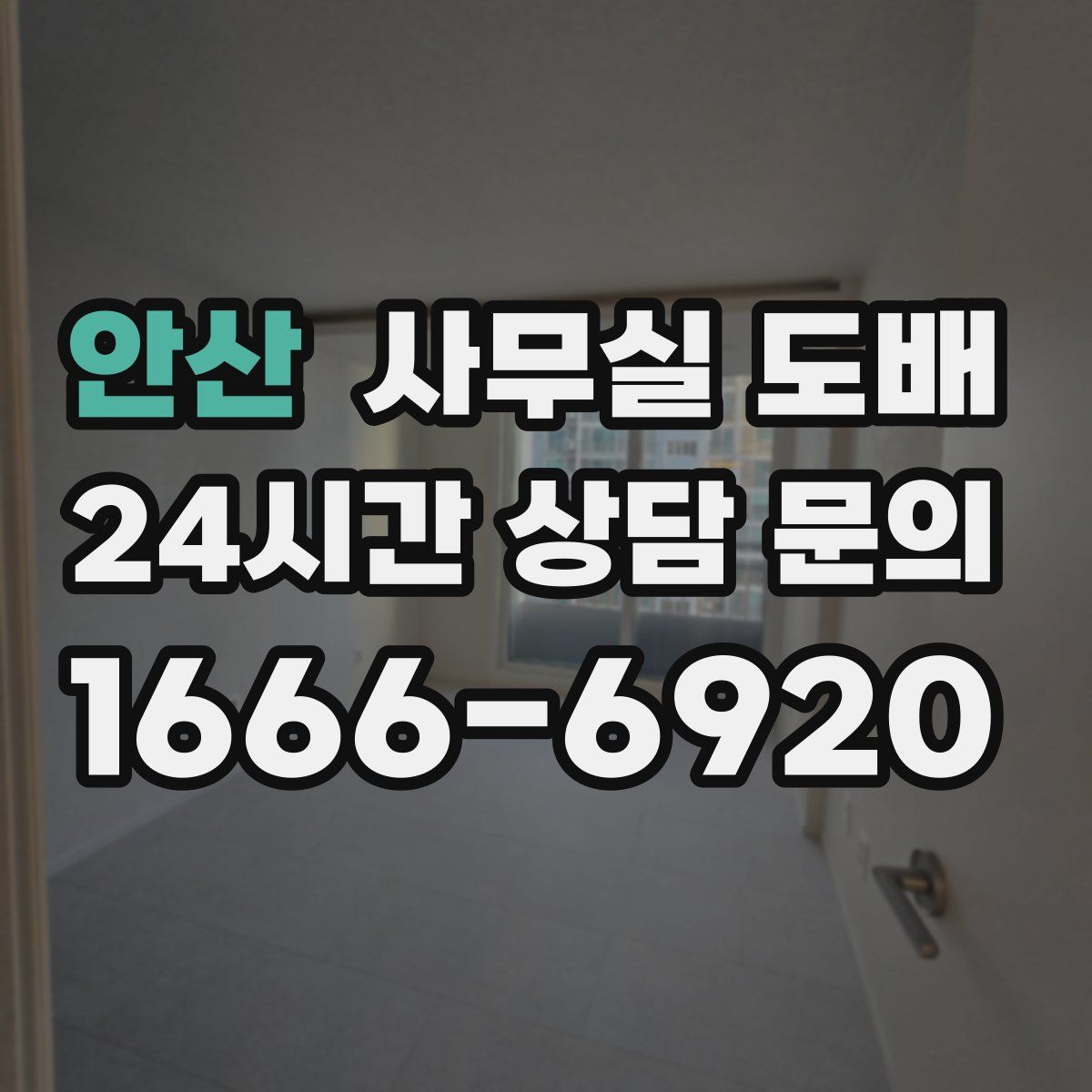 안산 사무실 도배