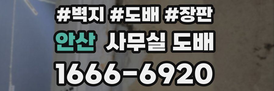 안산 사무실 도배