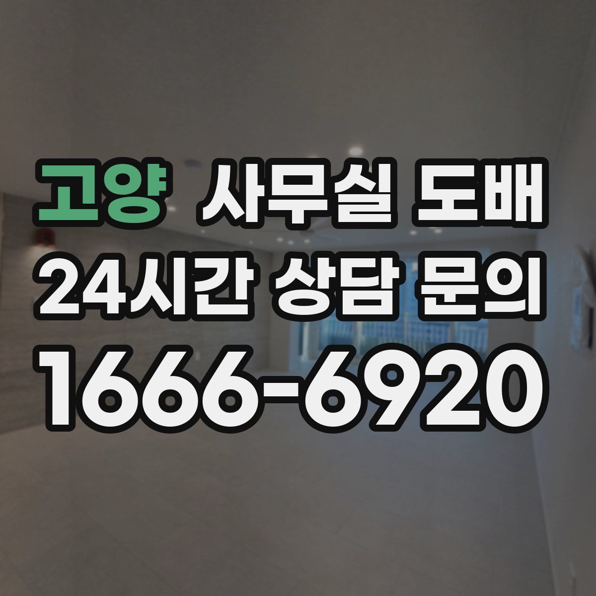 고양 사무실 도배