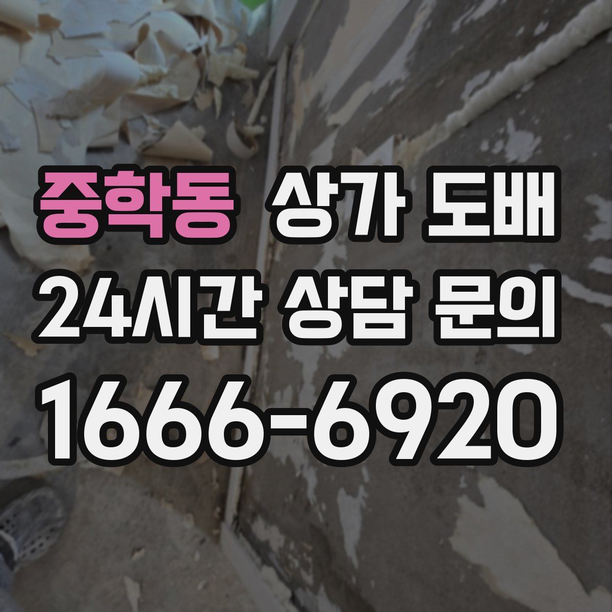 중학동 상가 도배