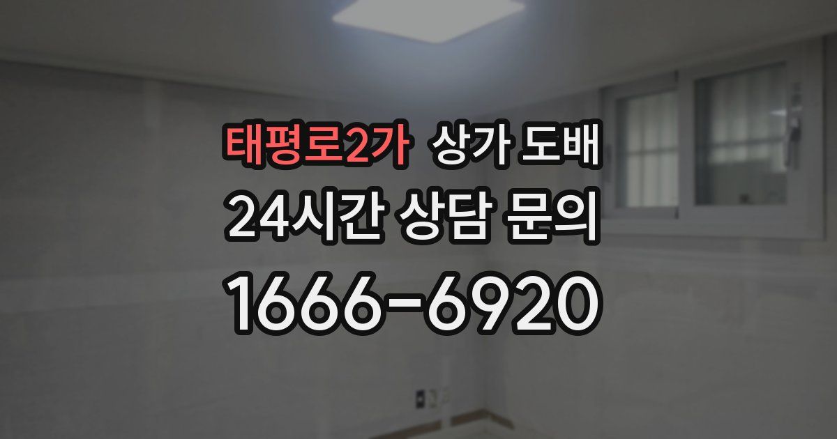 태평로2가 상가 도배