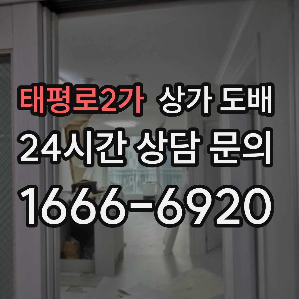 태평로2가 상가 도배