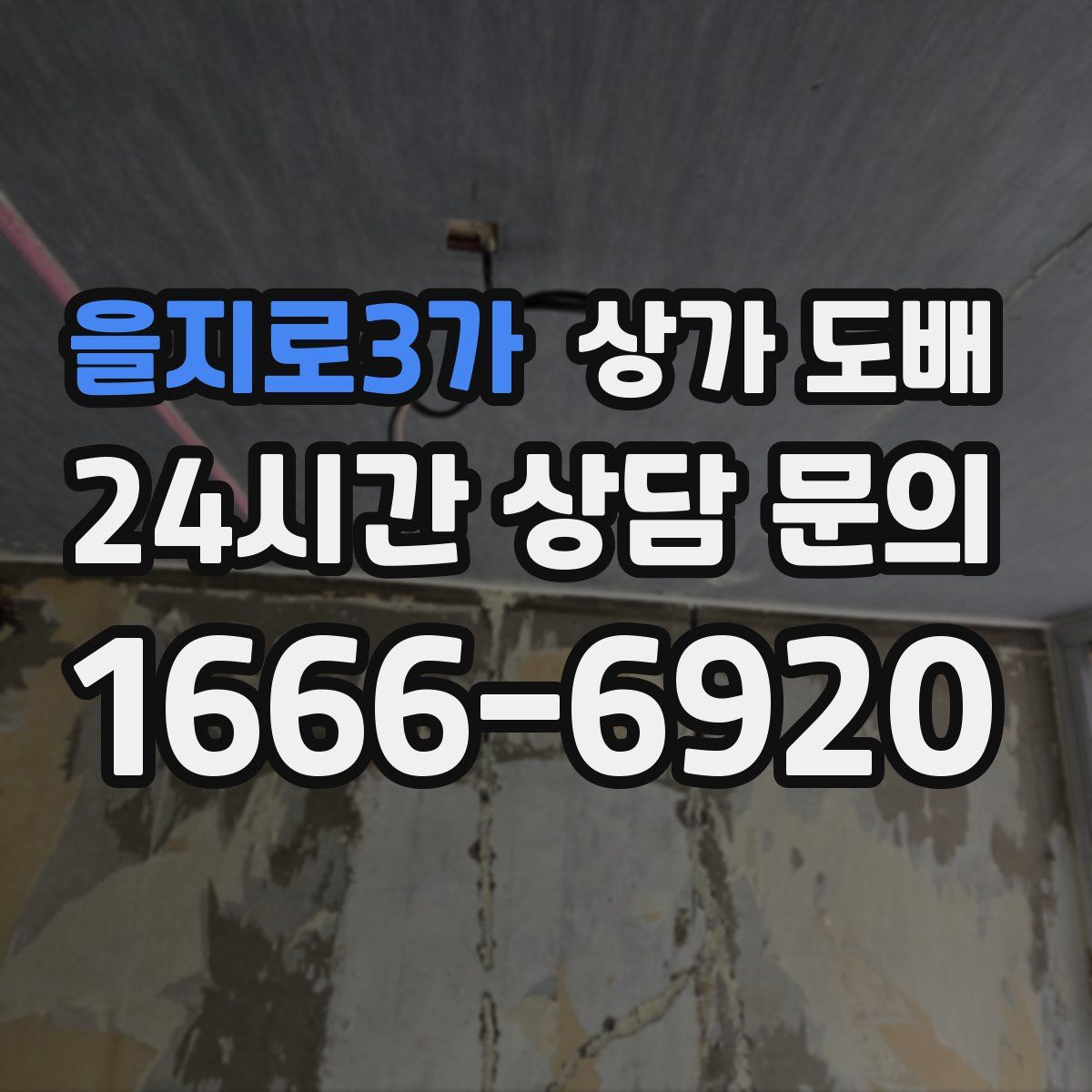 을지로3가 상가 도배