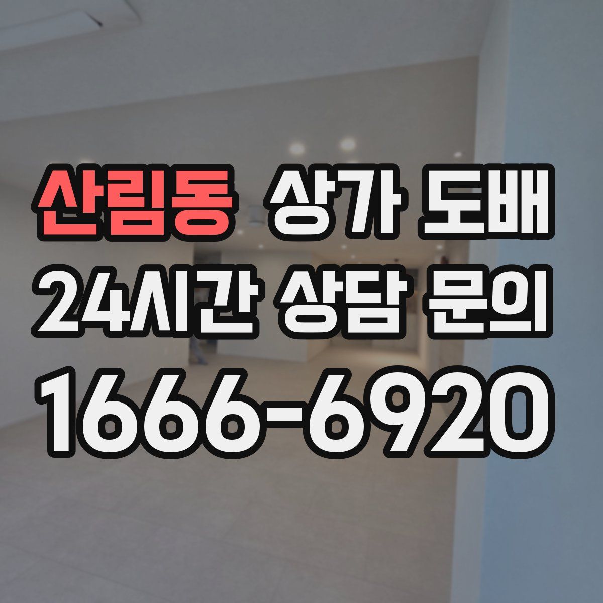 산림동 상가 도배