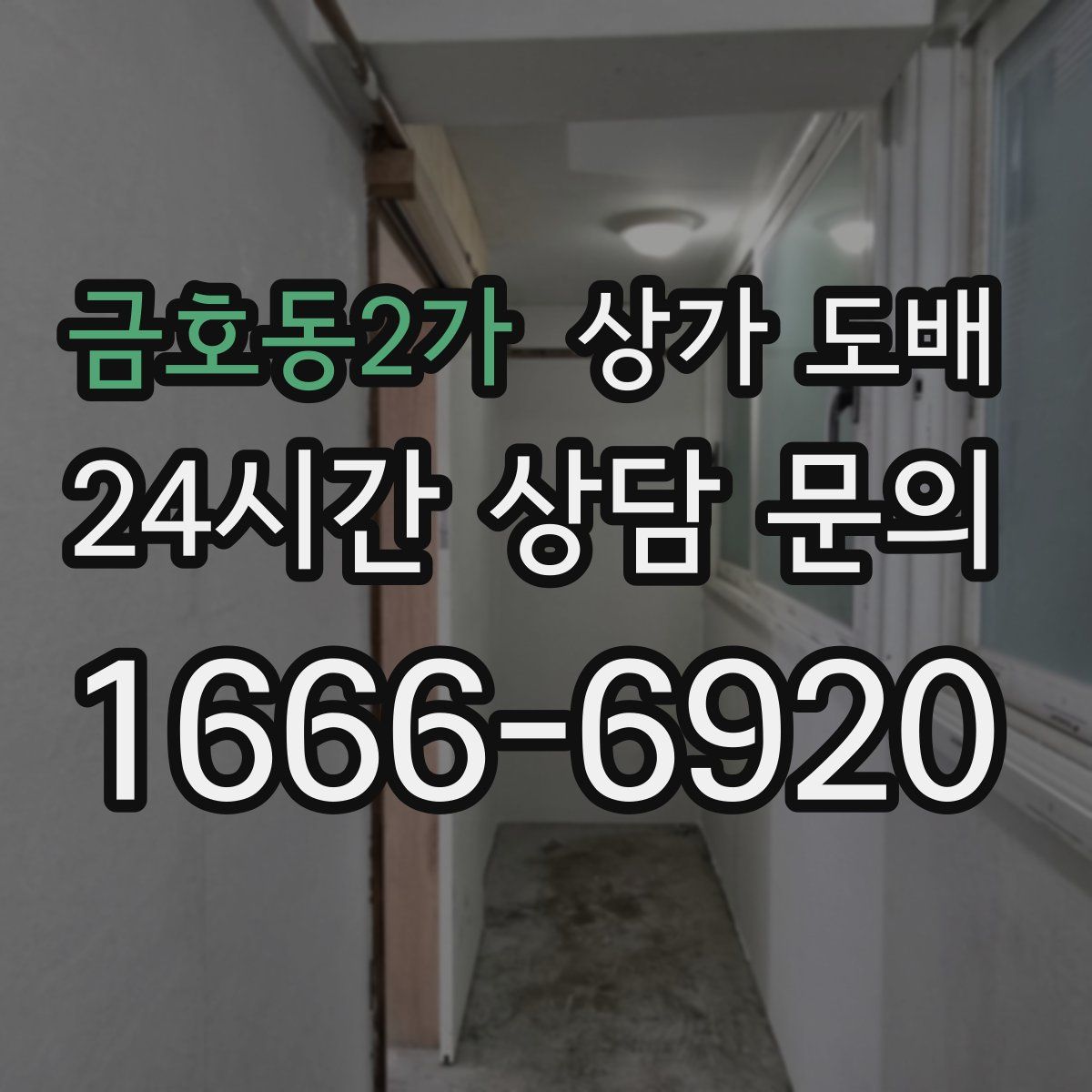 금호동2가 상가 도배