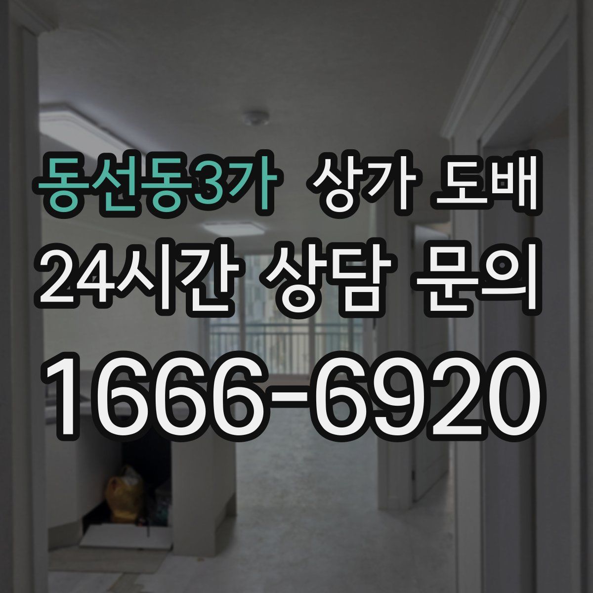 동선동3가 상가 도배