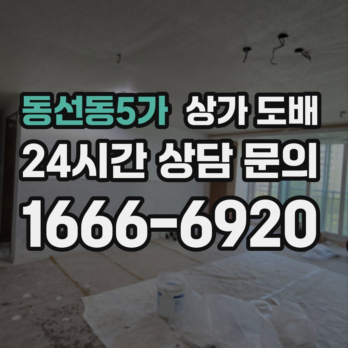 동선동5가 상가 도배