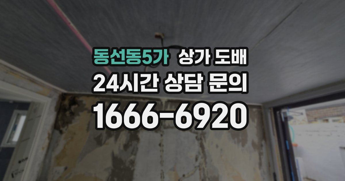 동선동5가 상가 도배