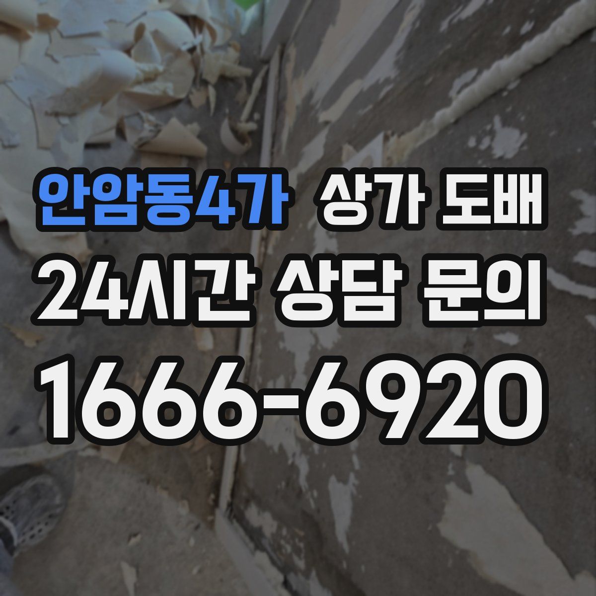 안암동4가 상가 도배
