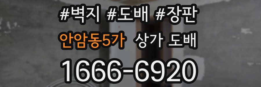 안암동5가 상가 도배