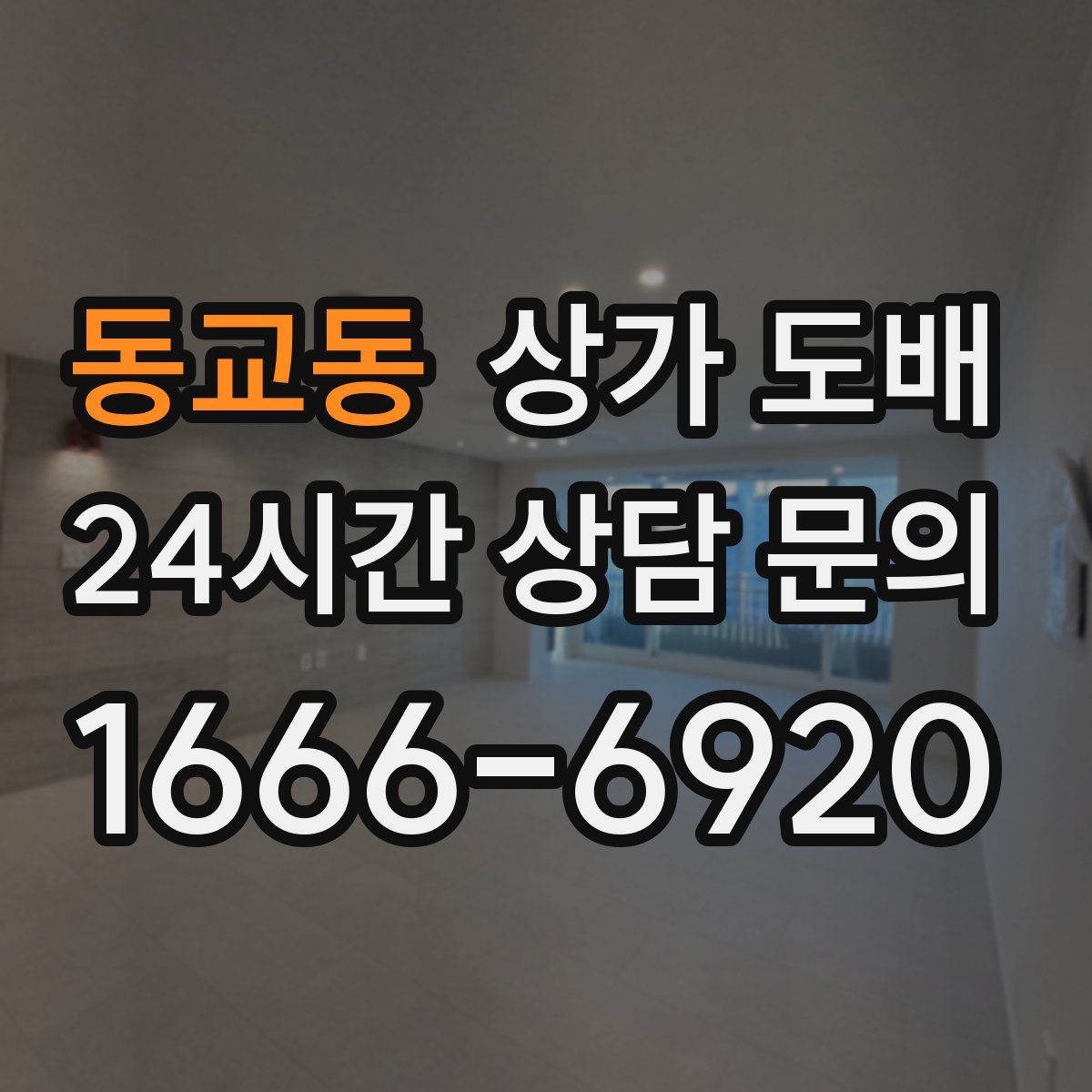 동교동 상가 도배
