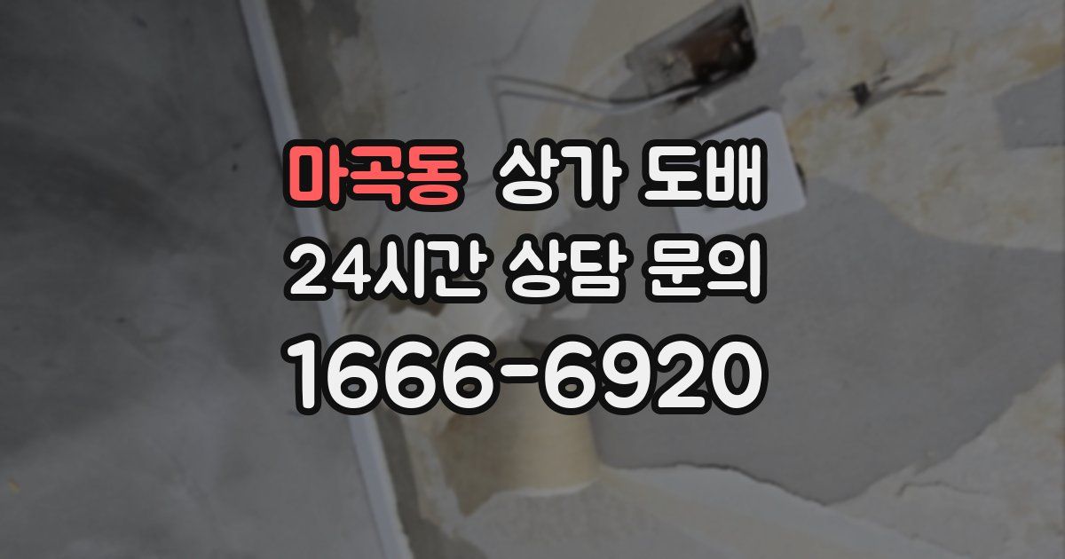 마곡동 상가 도배