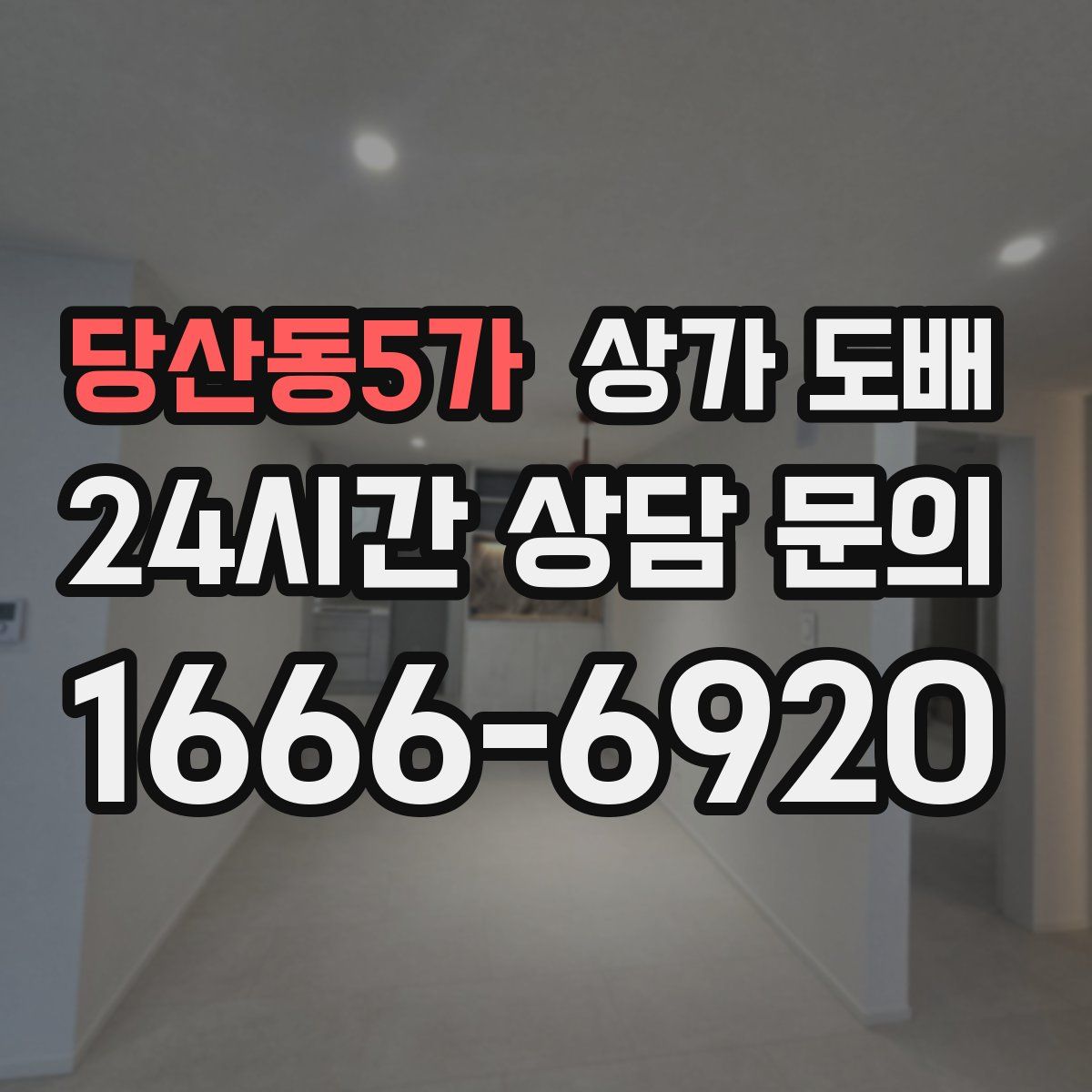 당산동5가 상가 도배