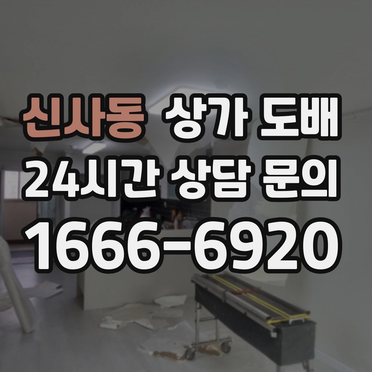 신사동 상가 도배