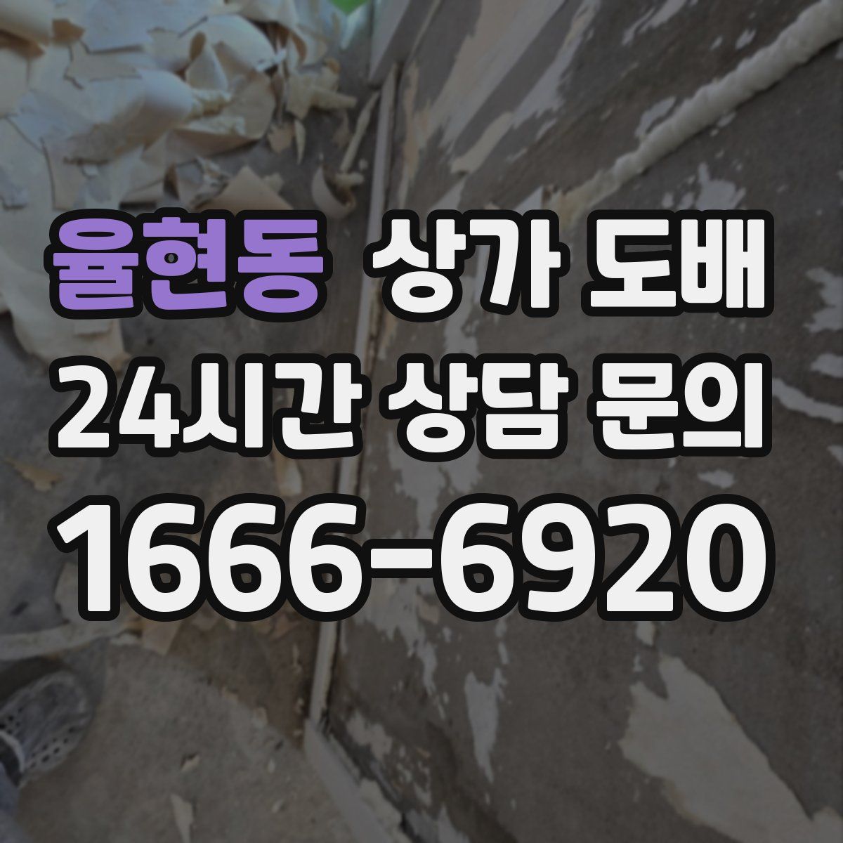 율현동 상가 도배