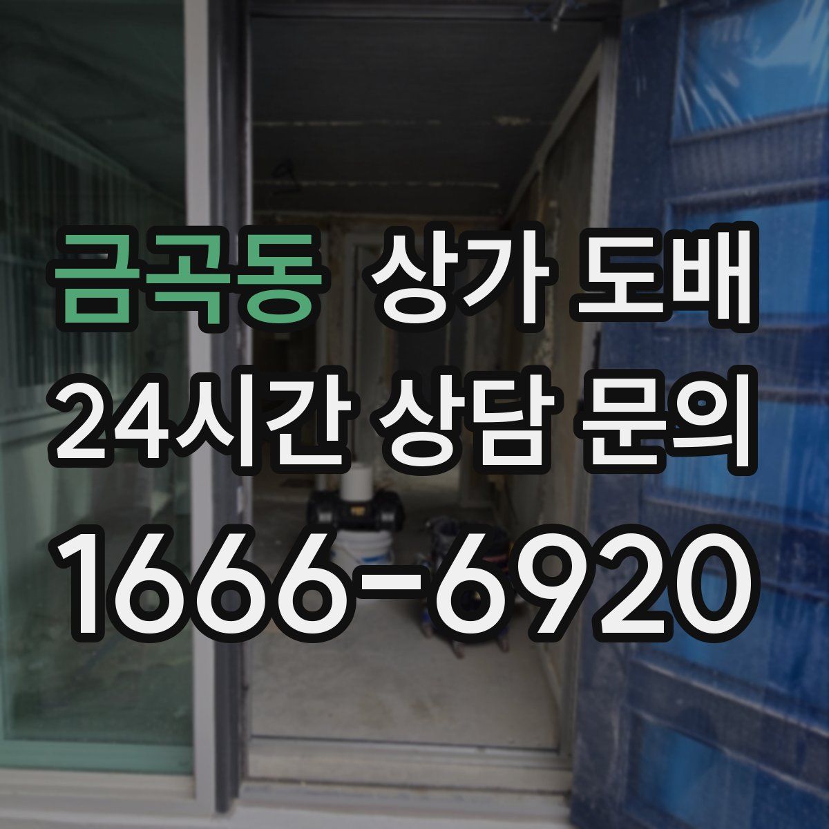 금곡동 상가 도배